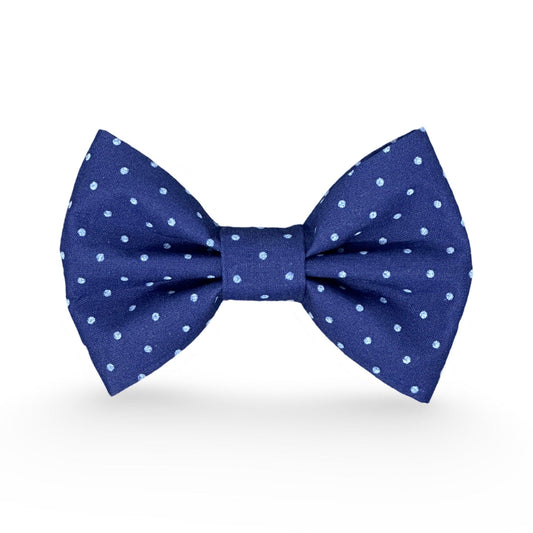 soft blue pin dots on a navy background dog bow tie for wedding or summer