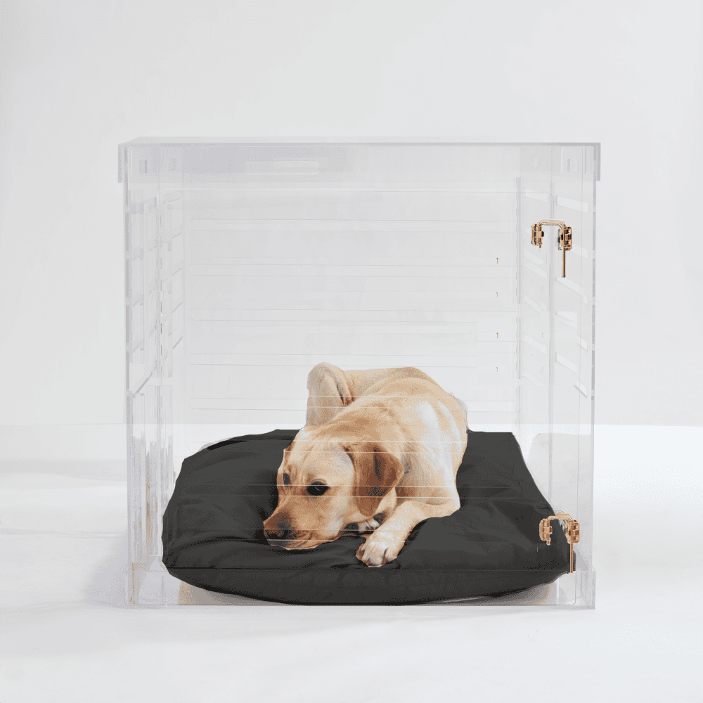 Clear Dog Crate to Gate | Large