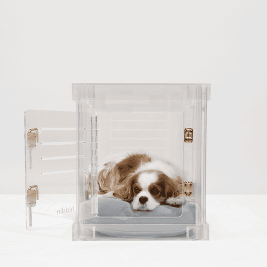 Clear Dog Crate to Gate | Small