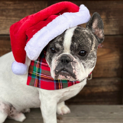 Christmas Tartan Flannel Dog Bandana