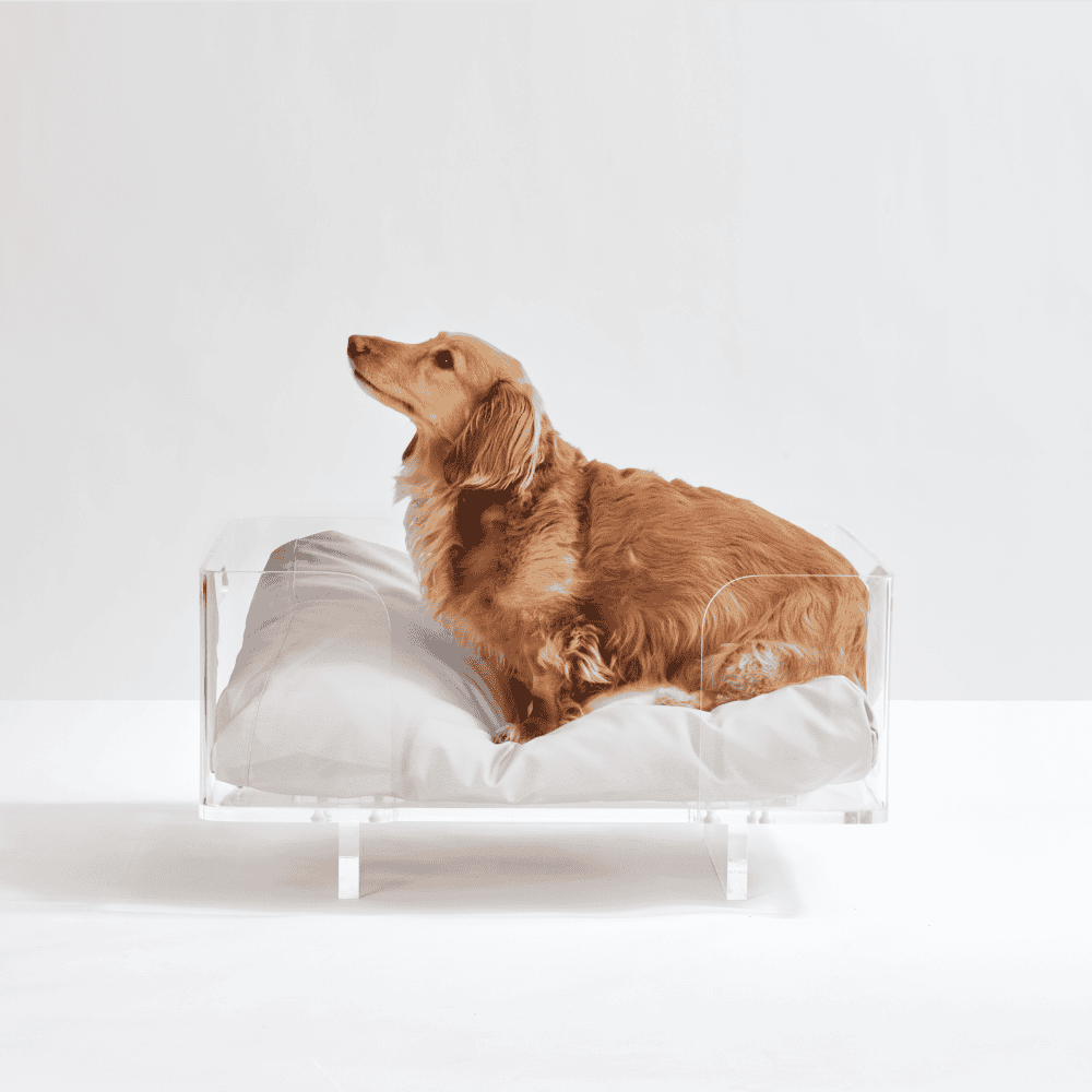 Clear Rectangular Lucite Dog Bed