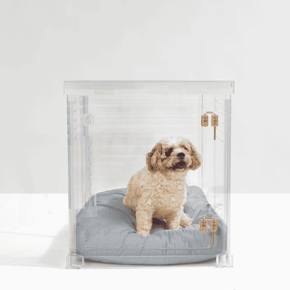 Clear Dog Crate to Gate | Large