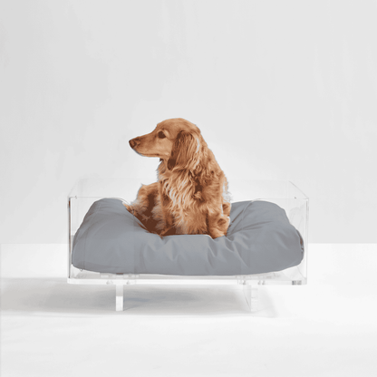 Clear Rectangular Lucite Dog Bed