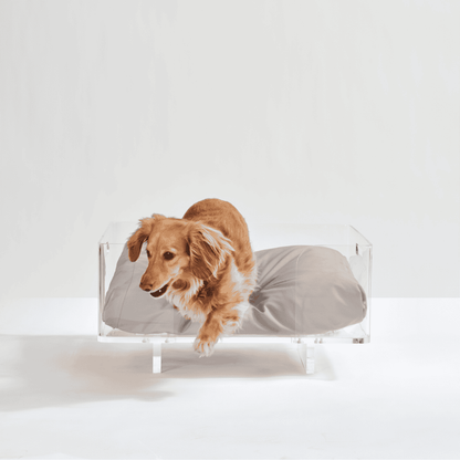 Clear Rectangular Lucite Dog Bed