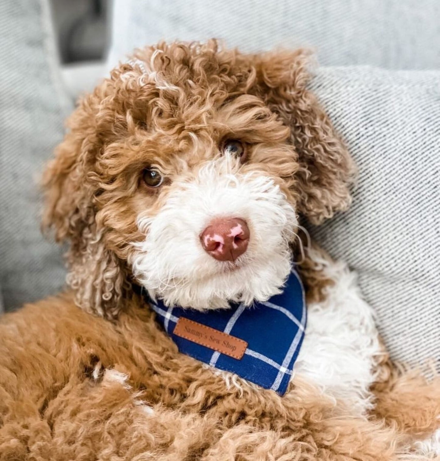 Navy Windowpane Dog Bandana