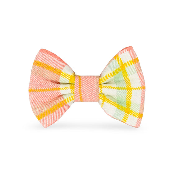 Tulip Grove Dog Bow Tie Preview Image