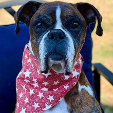Load image into Gallery viewer, Red Star dog bandana