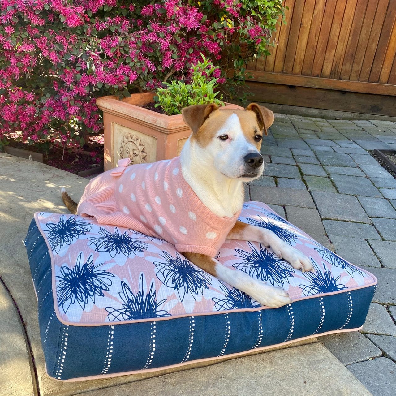 Blue and pink mattress dog bed