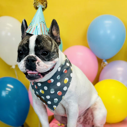 Black polka dot dog bandana