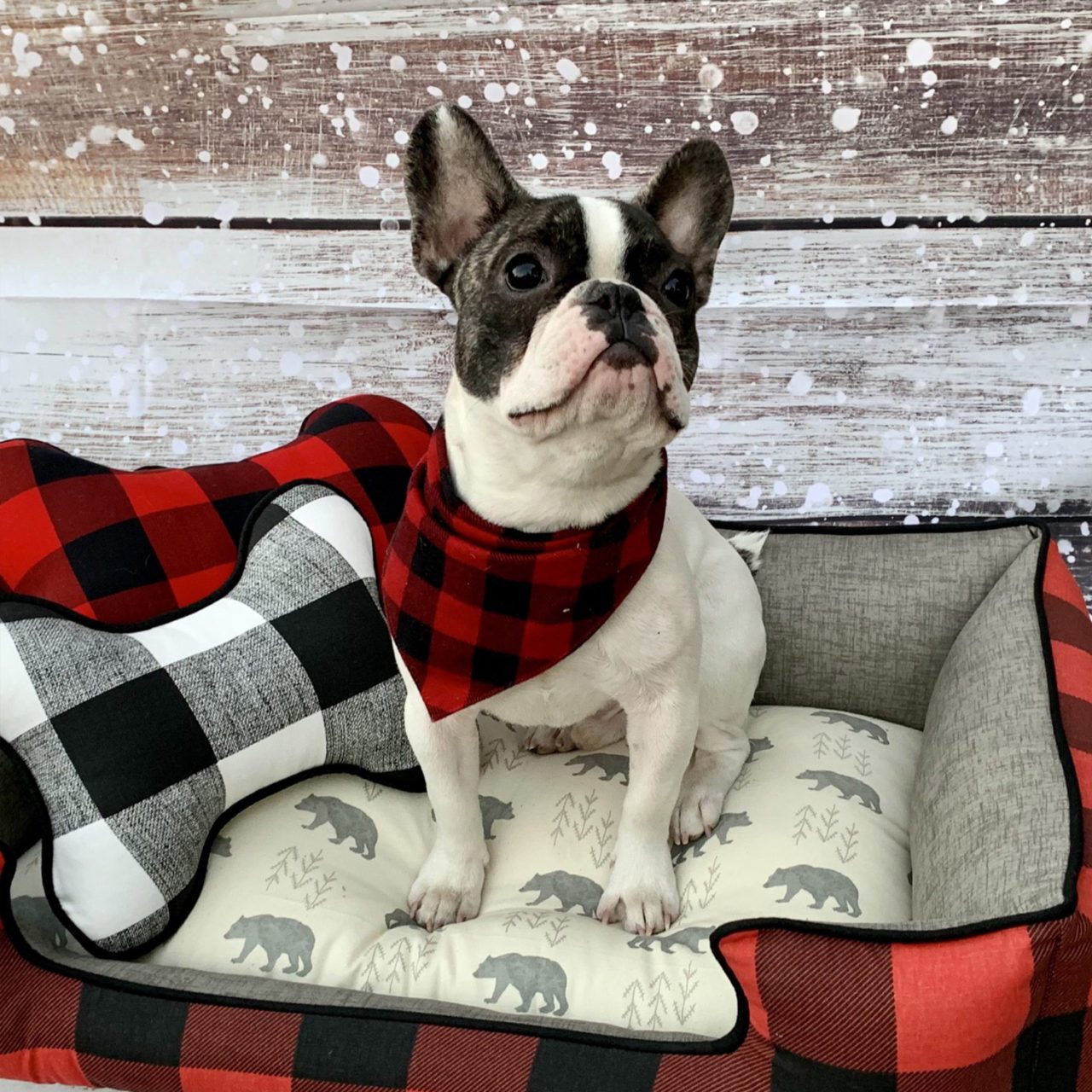 red and black check dog bed