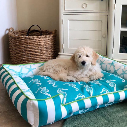 Teal and white dog bed