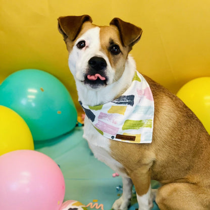 Birthday dog bandana