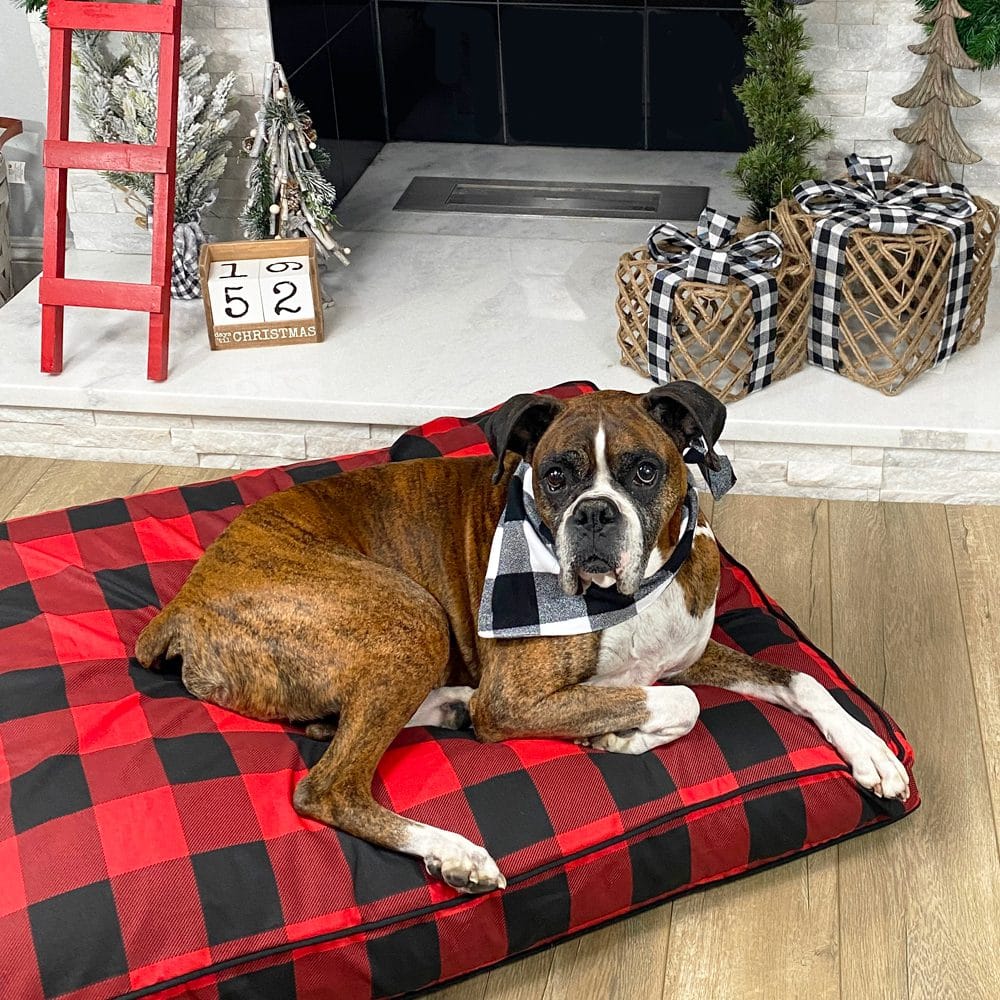 red and black mattress dog bed