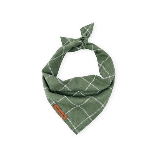 Sage Windowpane Dog Bandana