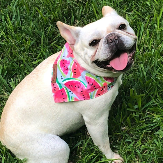 Seeded in Summer Dog Bandana Lifestyle Preview Image