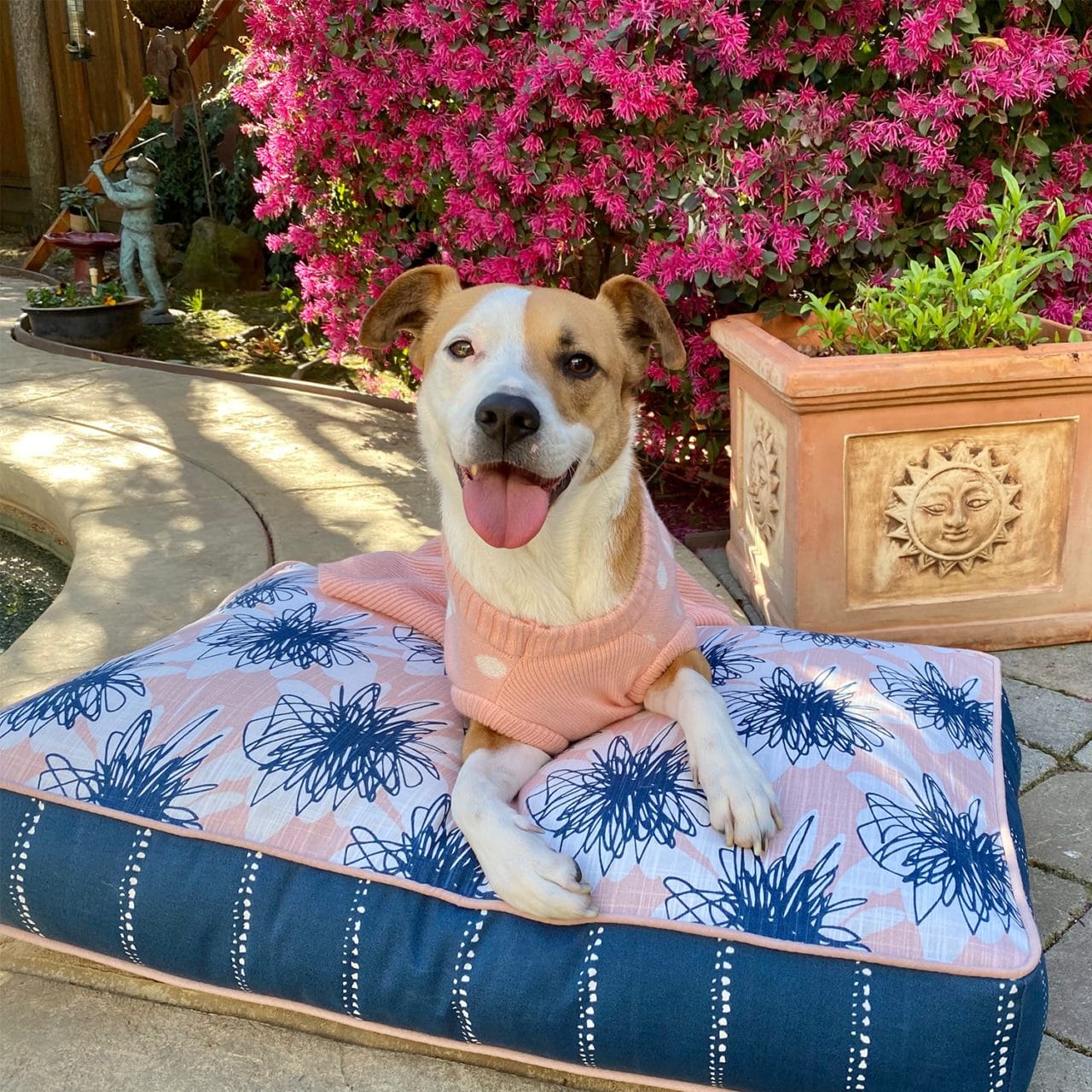 Blue and pink mattress dog bed