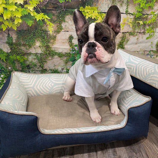 Dapper Snuggler Dog Bed