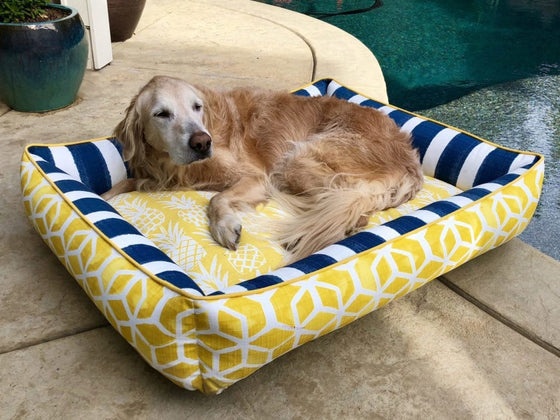 Pineapple Poolside Snuggler Dog Bed Lifestyle Preview Image