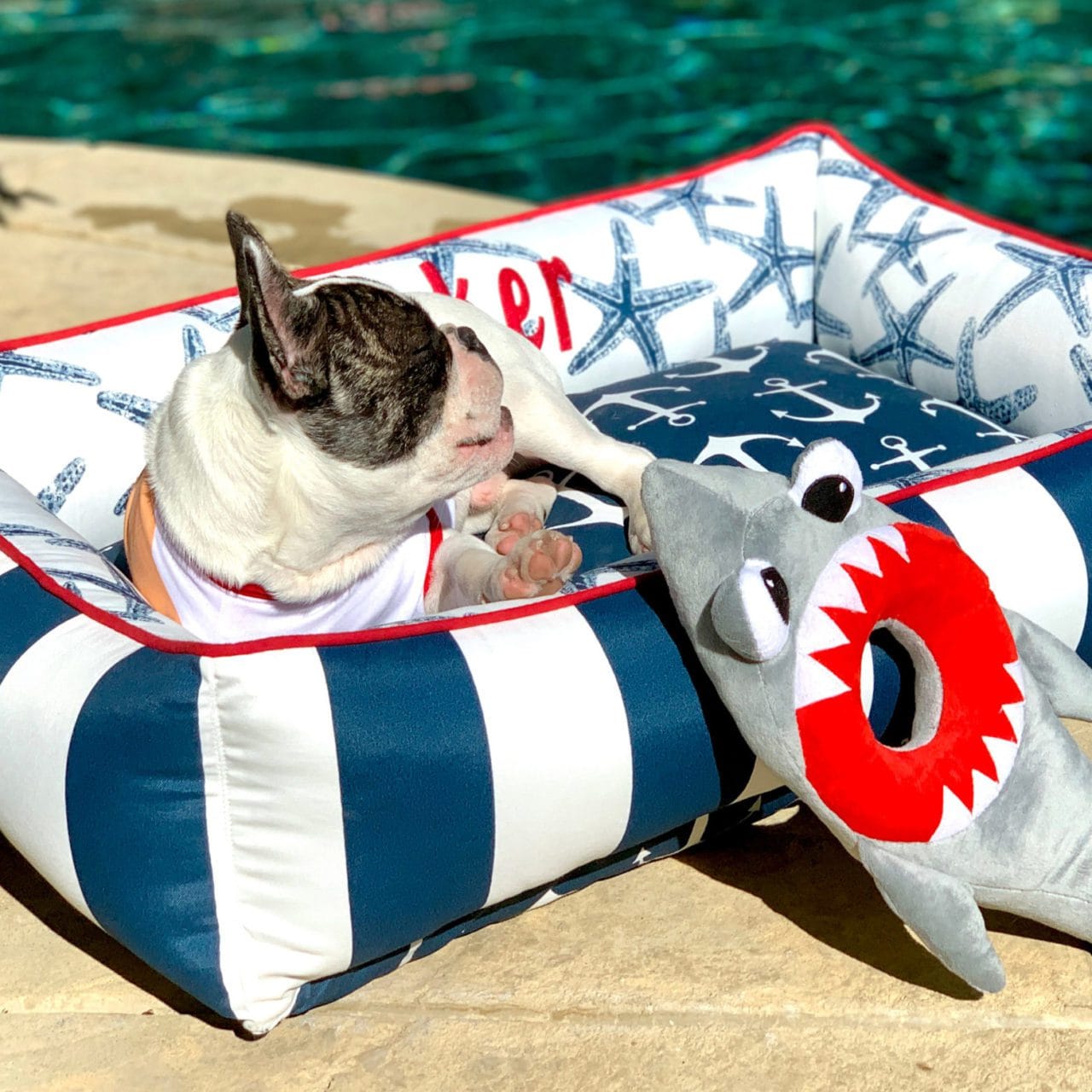 Blue and white dog bed